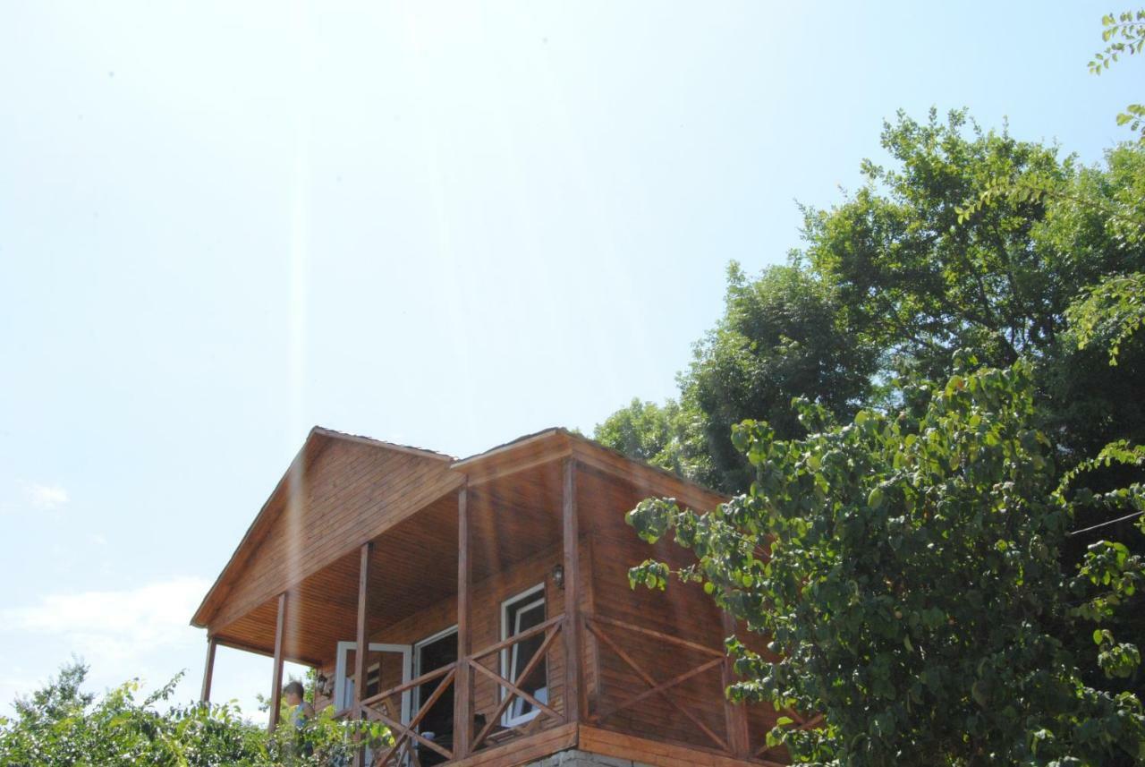 Tsanava'S Cottage In Sighnaghi Exteriör bild